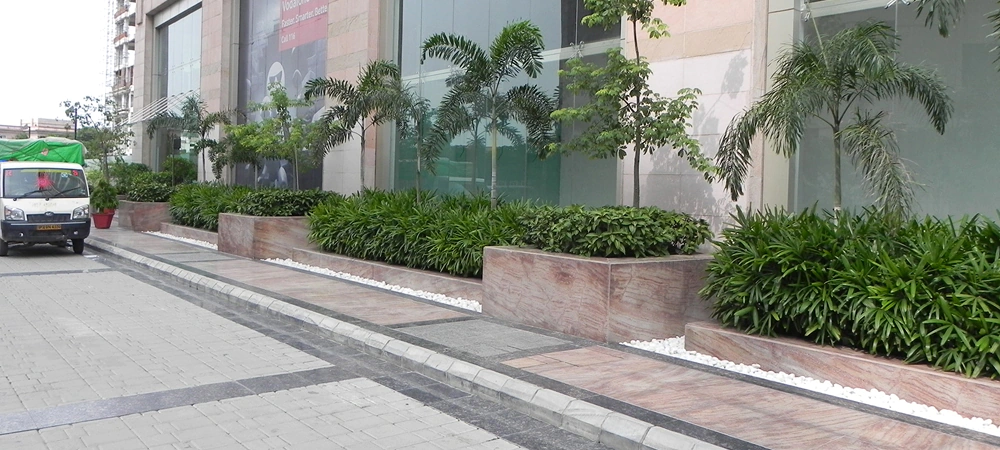image-01