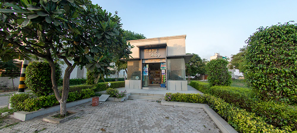 image-03