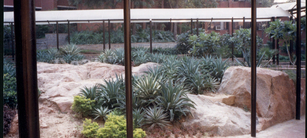 image-02