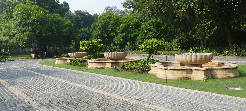image-01