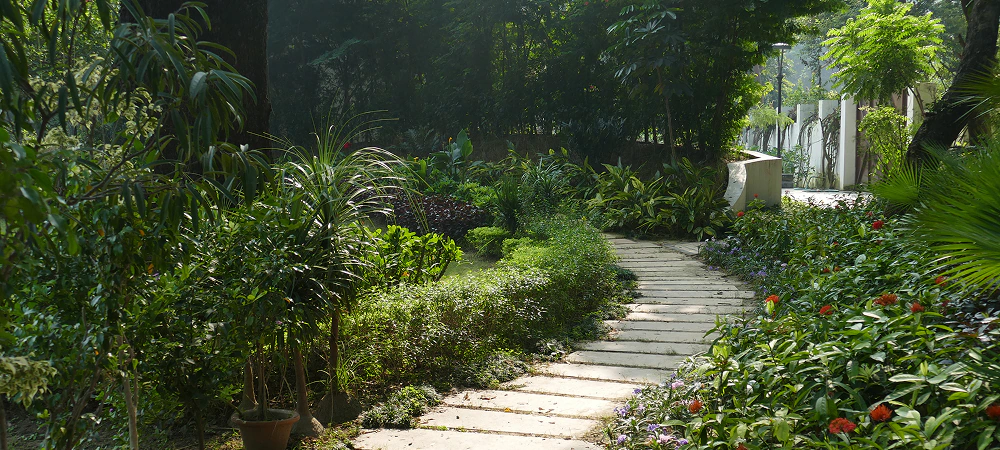 image-02