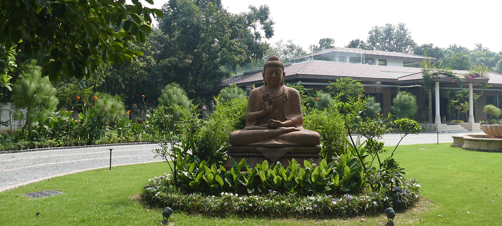 image-04
