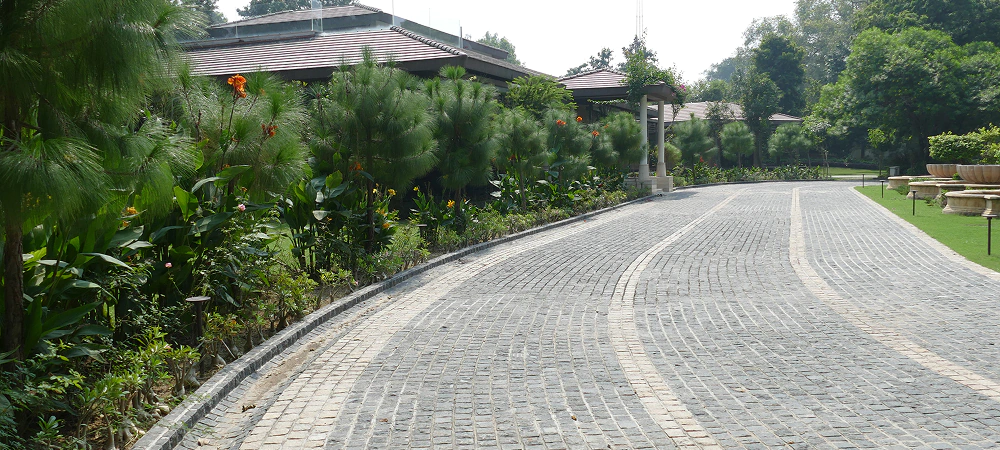 image-05