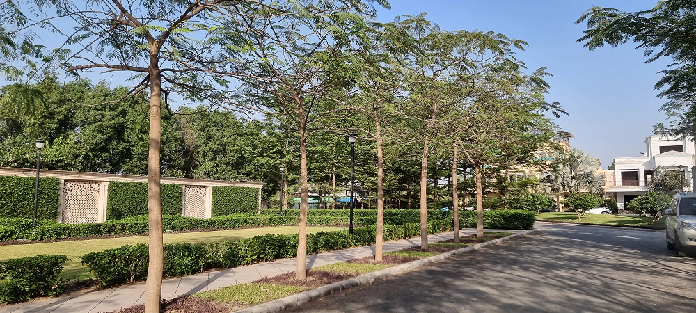 image-04