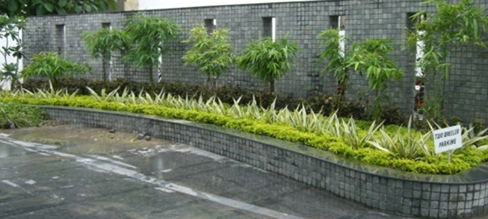 image-01